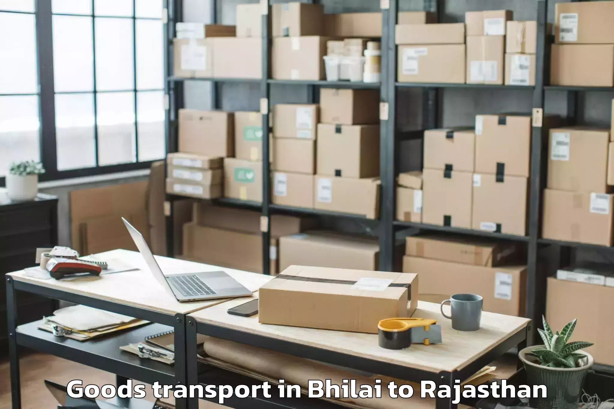 Hassle-Free Bhilai to Malsisar Goods Transport